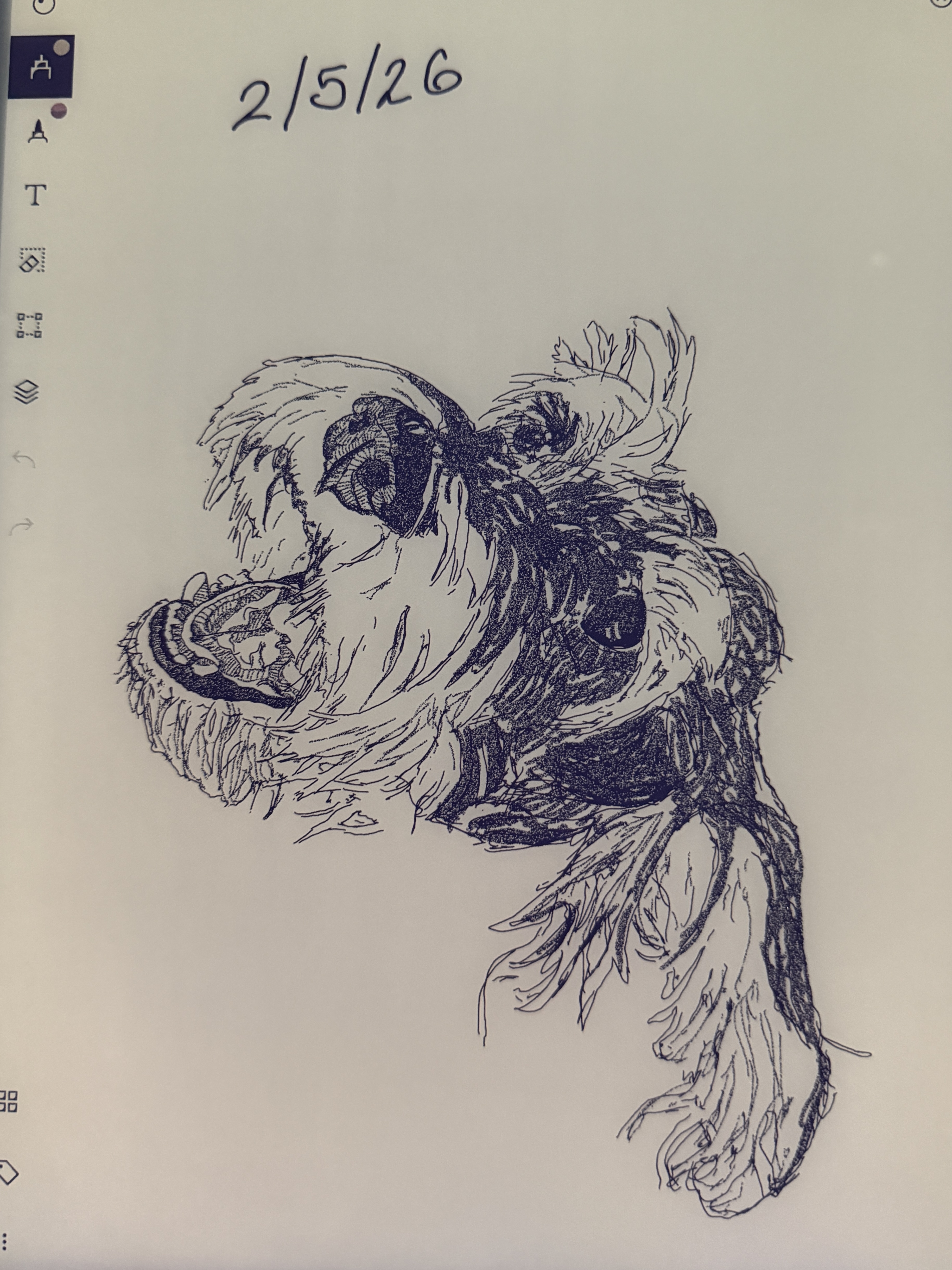 75607684-270D-4BF0-BA5E-6332D7291C74_1_201_a.jpeg